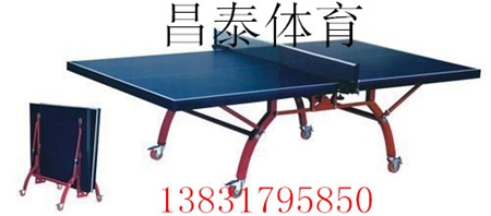 CTQ-008双折叠乒乓球台